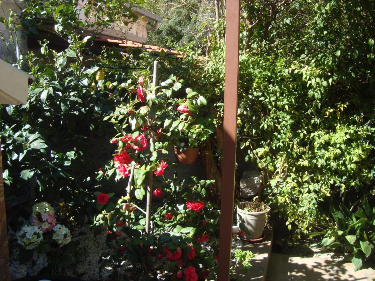 Studio Apartment Lile Trstenik  Exterior foto